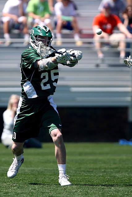 态都已调整 态都已调整